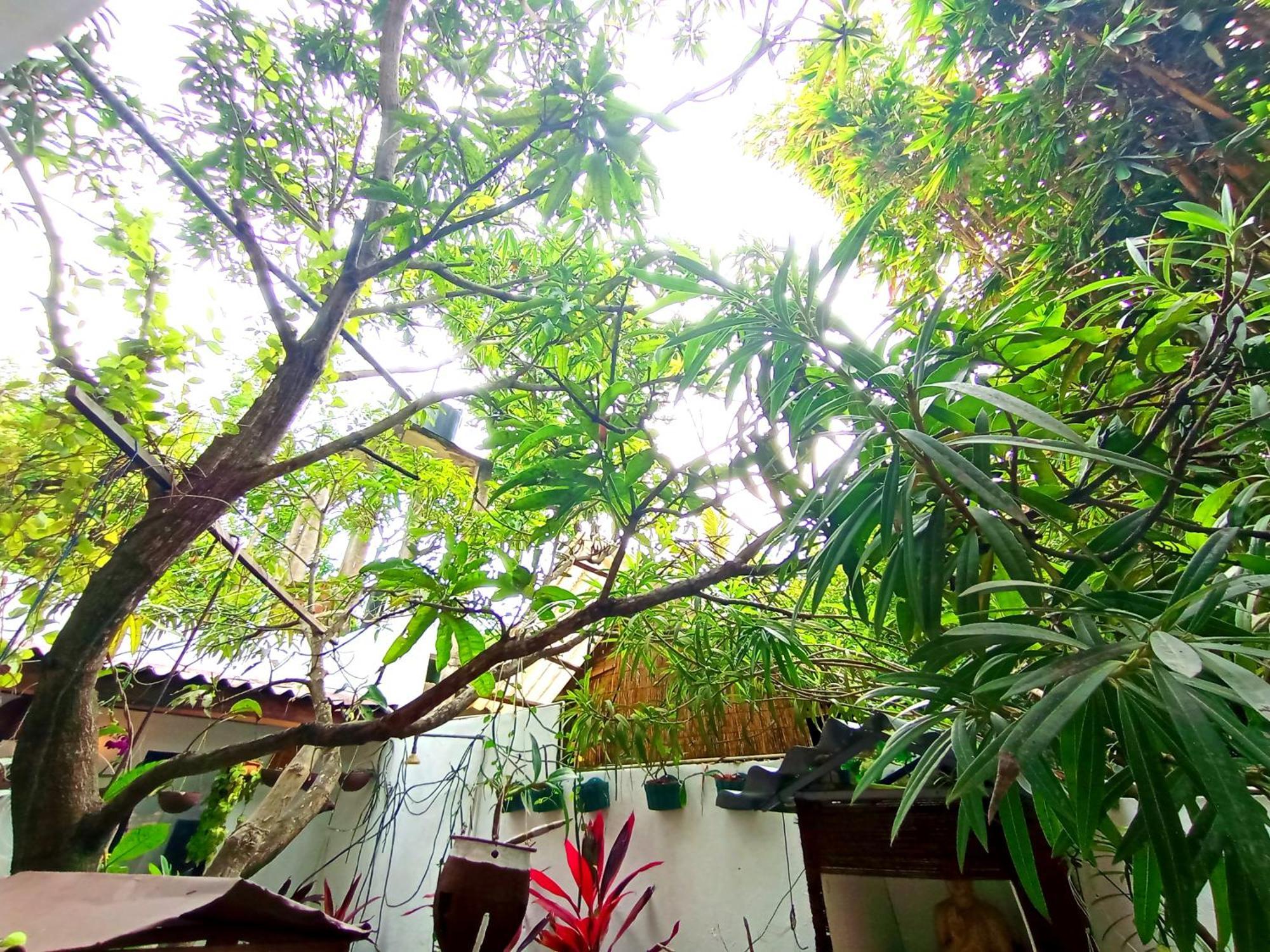 Ramesh Guesthouse Mirissa Esterno foto